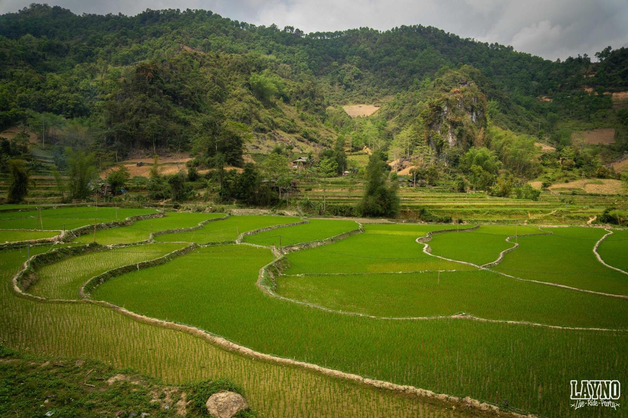 Quiri Hostel Ha Giang Lang Lap Extérieur photo